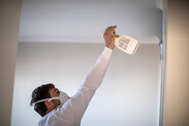 Mold Removal and Inspection in Knoxville, TN