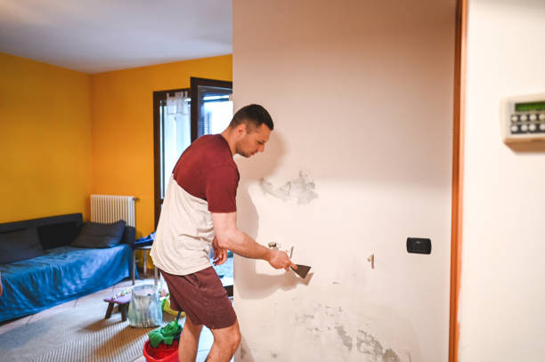 Best Office Mold Removal Services  in Knoxville, TN